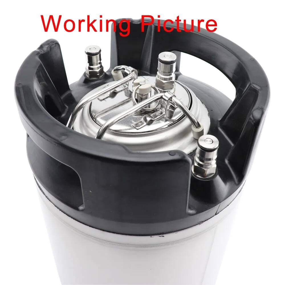 Homebrew Beer Cornelius Type C – обзор и цена Wine Beer Type